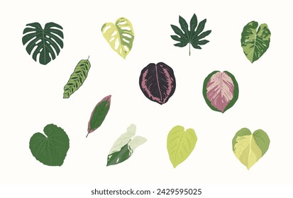 Plant Leaves Vector Illustration in Flat Style