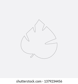 plant leavs icon vector