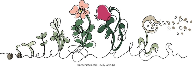 Plant life cycle continuous