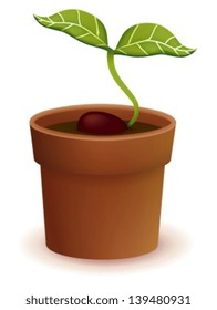 Plant Life Cycle - Vector File EPS10