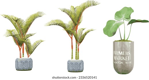 Plant Life on the Go, Portable Transparent Plant Cut-Outs for illustration, digital composition and architecture visualization