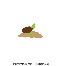 Plant life process illustration vector flat design