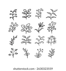Plant Line Art Volume 1 - Um conjunto limpo e elegante de ilustrações de arte de linha de planta em preto e branco. Perfeito para marcas, embalagens e projetos criativos