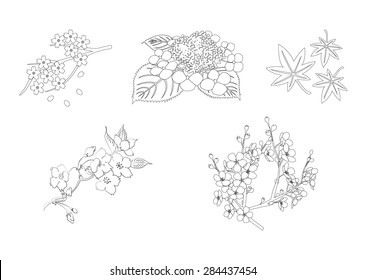 Plant Line Drawing