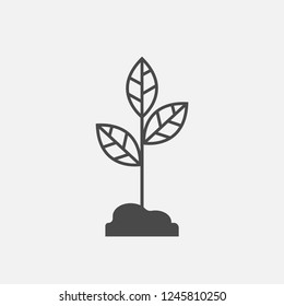 Plant line icon