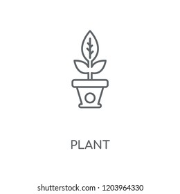 Plant linear icon. Plant concept stroke symbol design. Thin graphic elements vector illustration, outline pattern on a white background, eps 10.