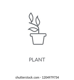 Plant linear icon. Plant concept stroke symbol design. Thin graphic elements vector illustration, outline pattern on a white background, eps 10.
