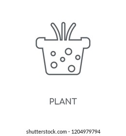 Plant linear icon. Plant concept stroke symbol design. Thin graphic elements vector illustration, outline pattern on a white background, eps 10.