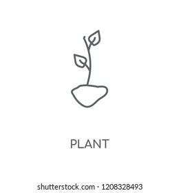 Plant linear icon. Plant concept stroke symbol design. Thin graphic elements vector illustration, outline pattern on a white background, eps 10.