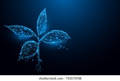 Plant from lines and triangles, point connecting network on blue background. Illustration vector