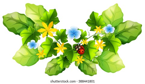 Plant and little ladybug illustration
