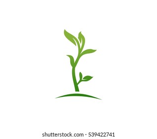 Pflanzenlogo
