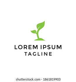 Plant Logo Design Template Vector