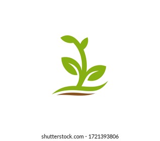 Icono vectorial del crecimiento de la hoja del logotipo de la planta 