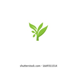 Plant logo leaf icon vector 