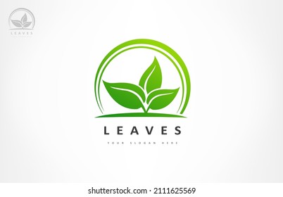 El logo de la planta. Deja el diseño vectorial.