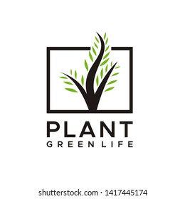 Plant logo in the square frame line