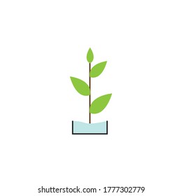 plant logo vector design illustration background template