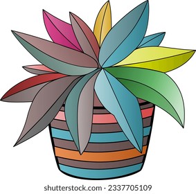 Plant with long, pointed leaves called Dracaena Marginata� Houseplant, green sprout in white pot. Plant for experiments and research isolated on white background. Potted plant for home decoration
