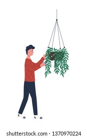 Plant with long wavy branches vector, man caring for houseplant in special container. Male in greenhouse isolated, flora flowerpot hanging on hook