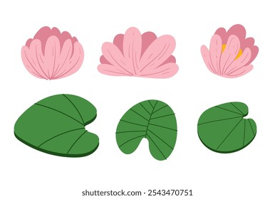 Plant lotus grass swamp water lake design element set. Vector graphic design illustration
