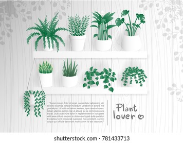 Plant lover flat design house plants with different kind of plants on a wooden plank, white wooden background. Vector illustration.
