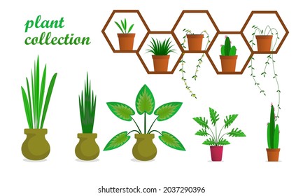 plant many collection set image, fresh green plant set, green plant set.