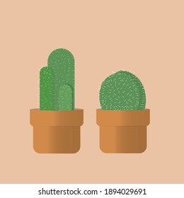 plant mini cactus ilustration work place  