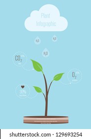 Plant Minimal Infographic. Vector illustration