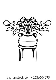 plant or monstera illustration in vector