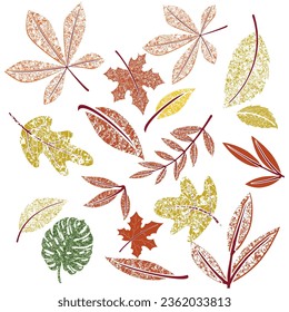Plant motifs isolated on a uniform background