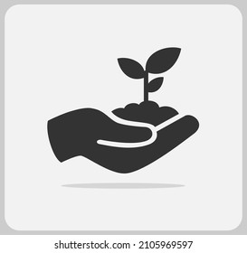 Plant moved with hand. plant a new tree in vector icon isolated on a white background