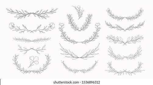 Plant nature dividers hand drawn set. Collection botanical element.Elegante vintage style.Vector illustration.