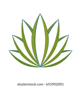 Plant nature ecology