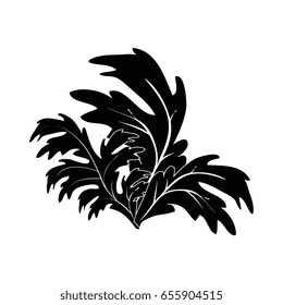 Plant nature ecology