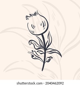 Plant nature hand drawn. Floral botanical element.Elegante vintage style.Isolated in white background.Vector illustration
	