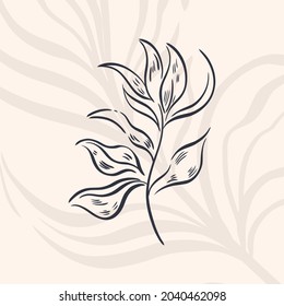 Plant nature hand drawn. Floral botanical element.Elegante vintage style.Isolated in white background.Vector illustration
	