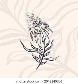 Plant nature hand drawn. Floral botanical element.Elegante vintage style.Isolated in white background.Vector illustration
	