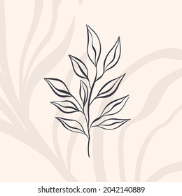 Plant nature hand drawn. Floral botanical element.Elegante vintage style.Isolated in white background.Vector illustration
	