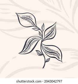 Plant nature hand drawn. Floral botanical element.Elegante vintage style.Isolated in white background.Vector illustration
	