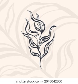 Plant nature hand drawn. Floral botanical element.Elegante vintage style.Isolated in white background.Vector illustration
	
