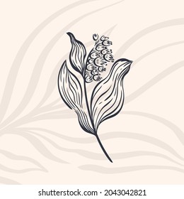 Plant nature hand drawn. Floral botanical element.Elegante vintage style.Isolated in white background.Vector illustration
	