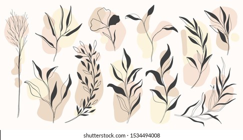 Plant nature hand drawn set. Collection botanical element.Elegant vintage style.Vector illustration.