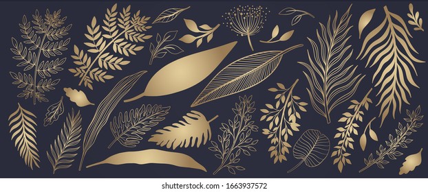 Plant nature hand drawn set. Collection botanical element.Elegant vintage style.Vector illustration.