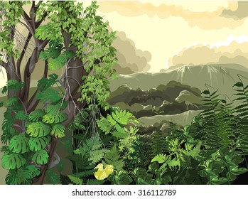 plant, nature, landscape (ecology)