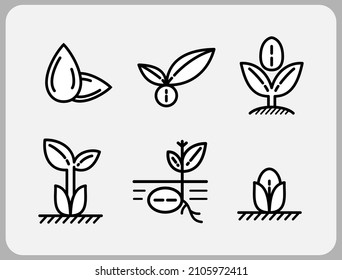 Plant a new tree with the seed vector. Vector illustration isolated on white background. Plant the seed icon set. 