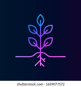 Icono de la planta de nolan. Línea delgada simple, contorno vectorial de iconos de biología para ui y ux, sitio web o aplicación móvil