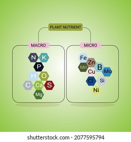 Plant Nutrient Macro And Micro, Main Needs Unsure Of Plants