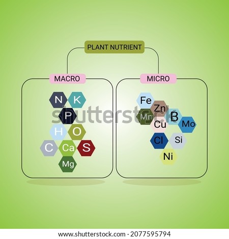 Plant nutrient macro and micro, main needs unsure of plants