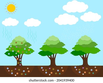 Plant nutrients and essential factors for plant life